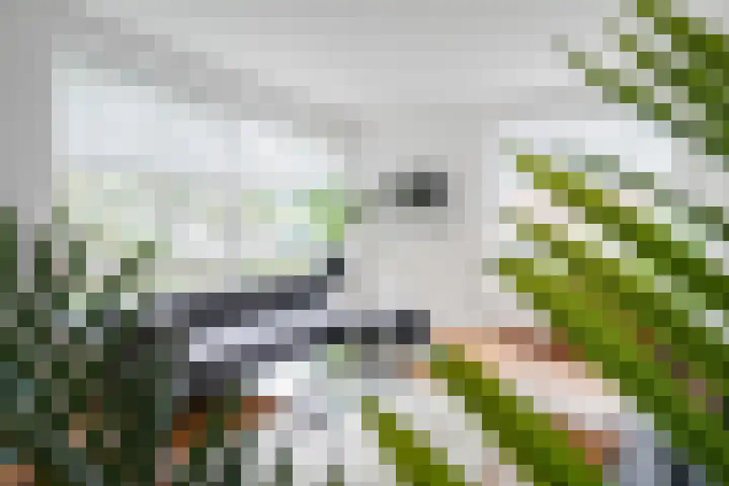 Hengelolaan 1132 Den Haag thumbnail 7