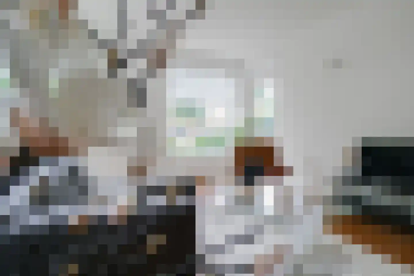 Hengelolaan 1132 Den Haag thumbnail 9