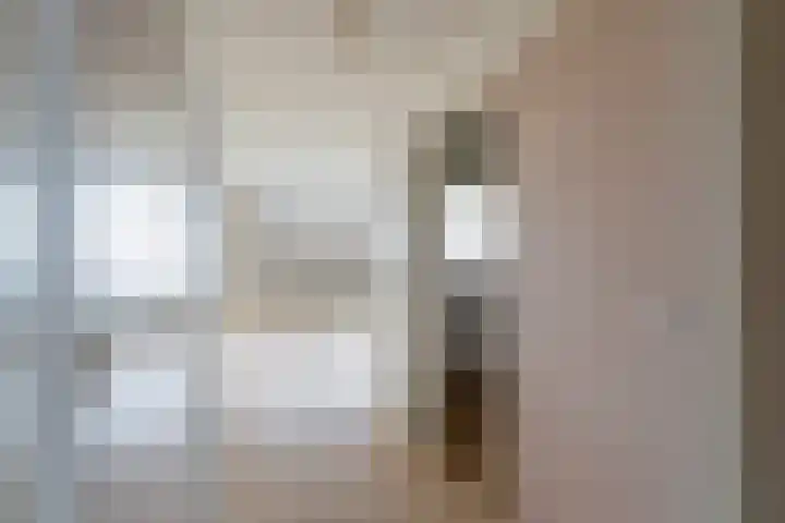 Hengelolaan 1148 B Den Haag thumbnail 10