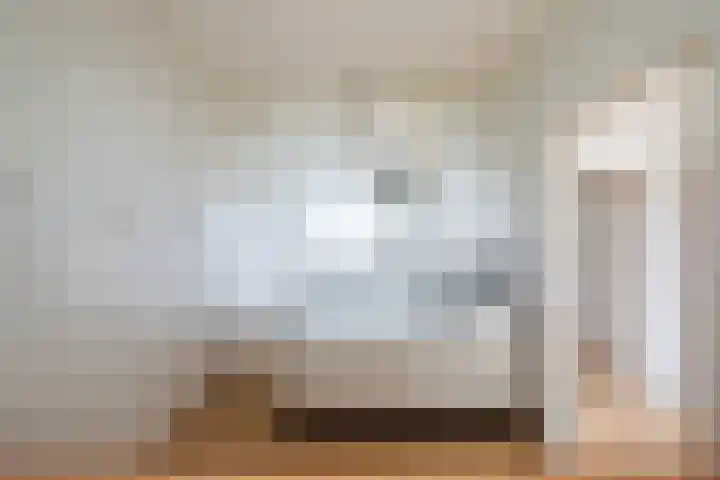 Hengelolaan 1148 B Den Haag thumbnail 14