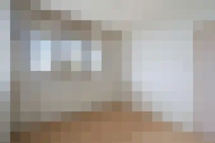 Hengelolaan 1148 B Den Haag thumbnail 16