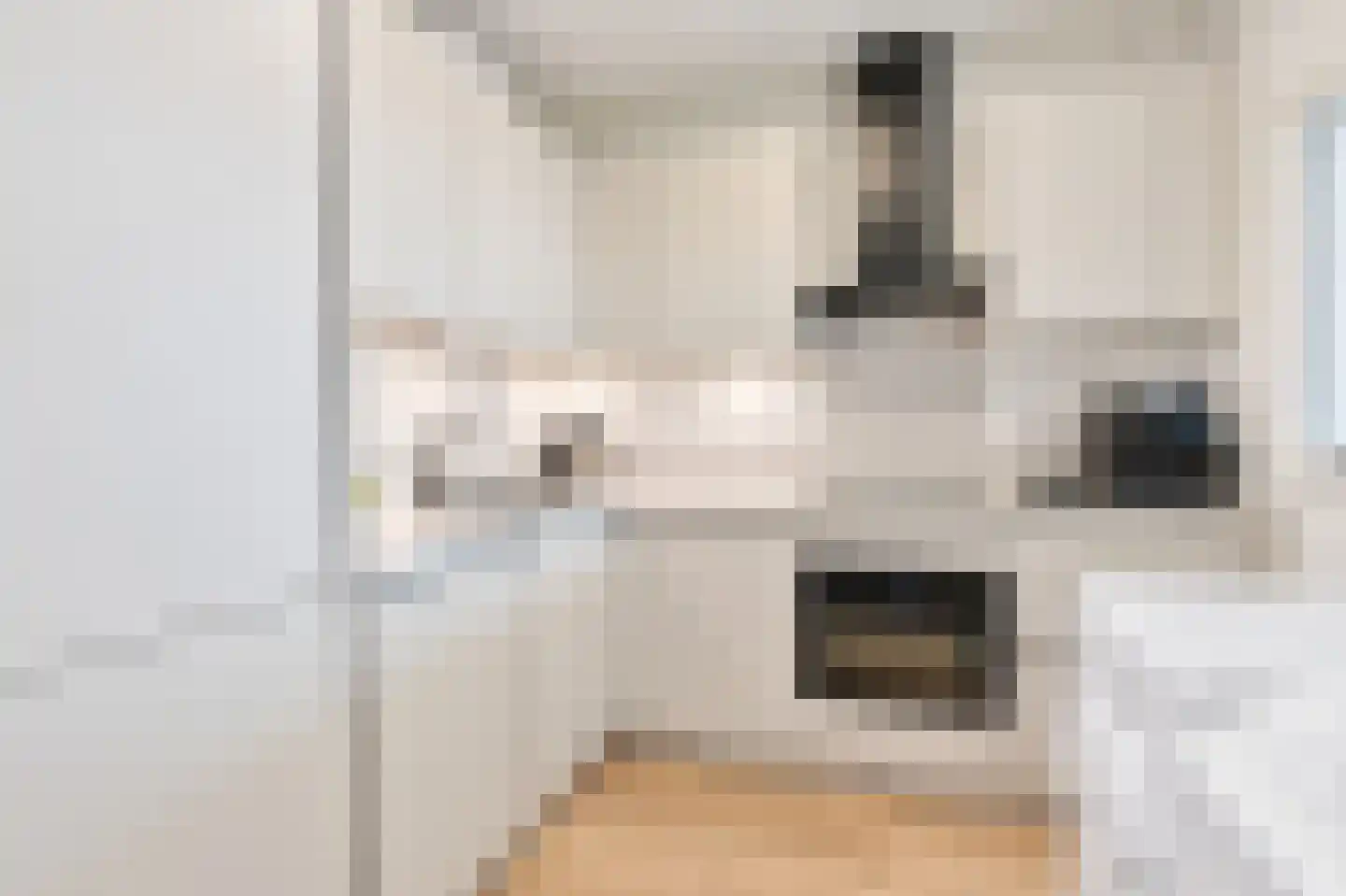 Hengelolaan 1148 C Den Haag thumbnail 33