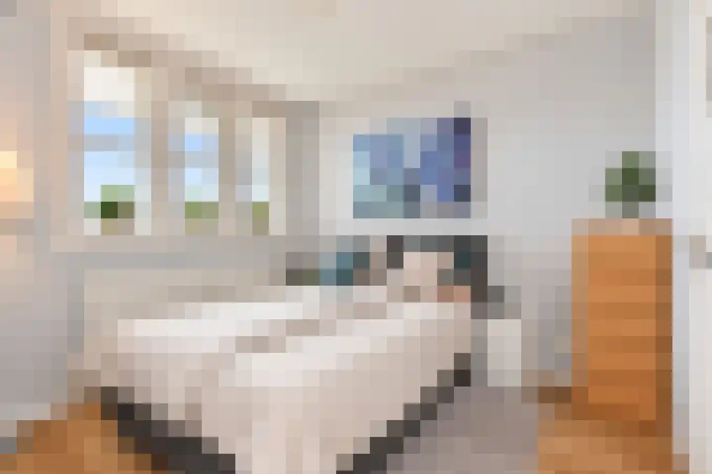 Hengelolaan 1148 C Den Haag thumbnail 36