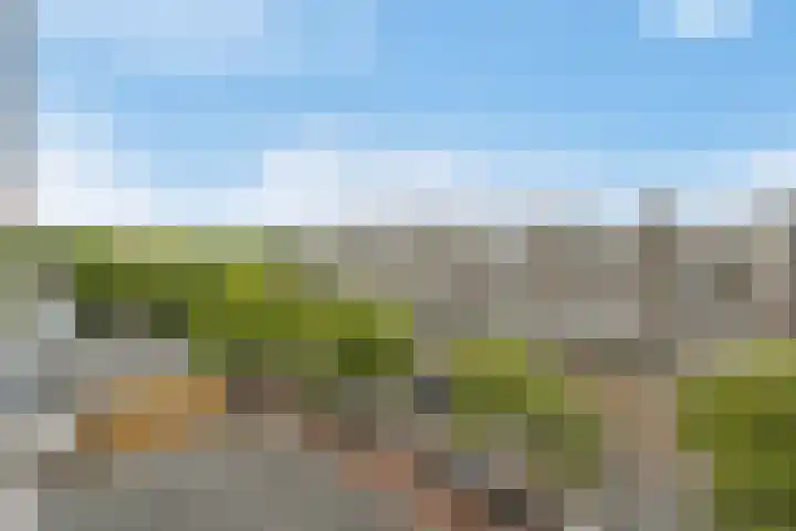 Hengelolaan 1150 D Den Haag thumbnail 33