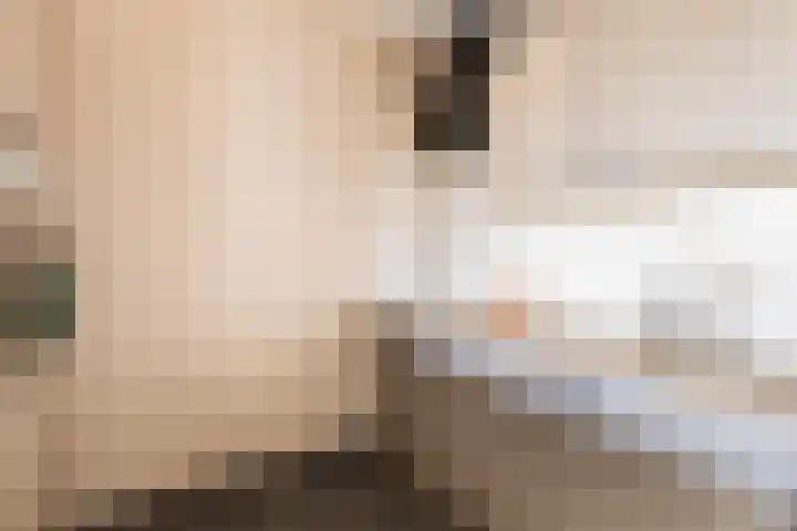 Hengelolaan 1150 Den Haag thumbnail 13