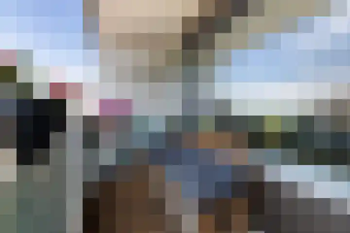 Hengelolaan 1150 Den Haag thumbnail 19