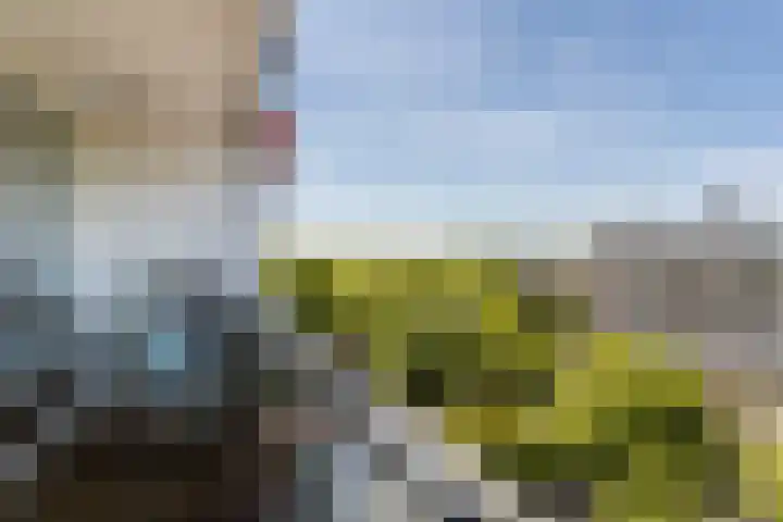 Hengelolaan 1150 Den Haag thumbnail 22