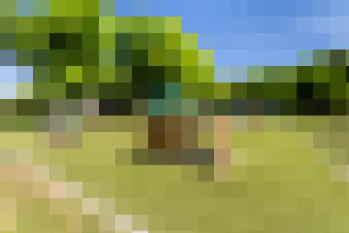 Hengelolaan 1150 Den Haag thumbnail 31