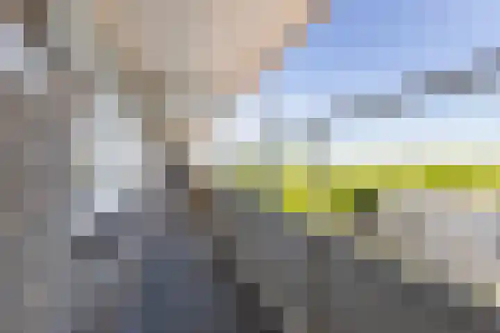 Hengelolaan 1150 Den Haag thumbnail 7