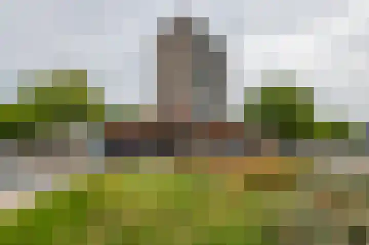 Hengelolaan 1158 B Den Haag thumbnail 10