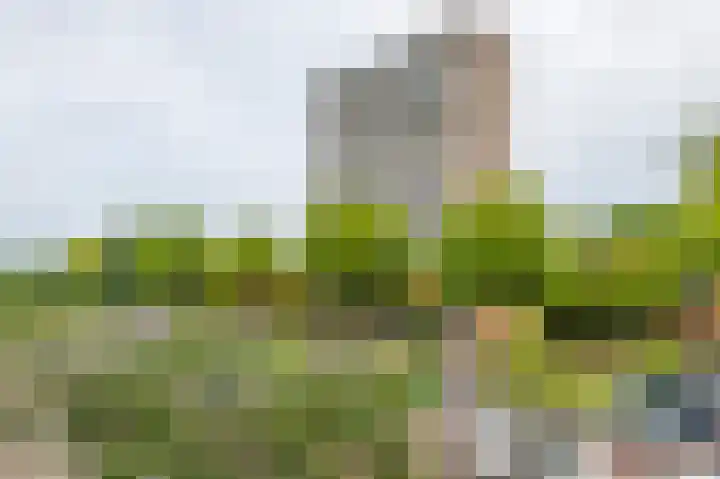 Hengelolaan 1158 B Den Haag thumbnail 6