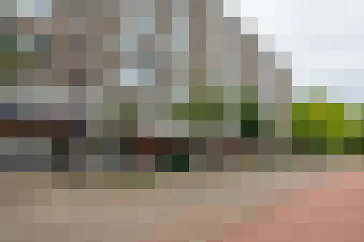 Hengelolaan 1158 B Den Haag thumbnail 7