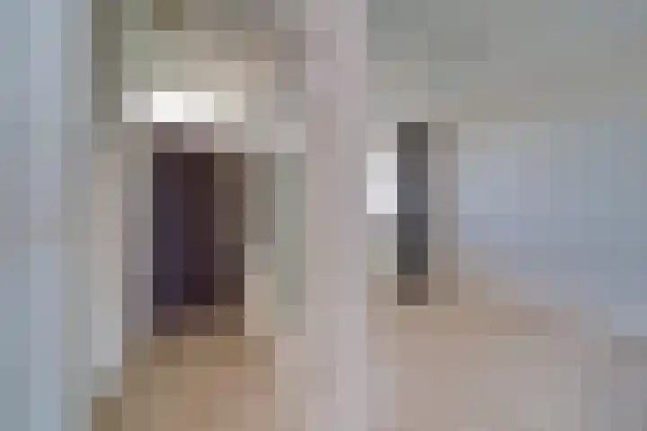 Hengelolaan 1164 Den Haag thumbnail 11
