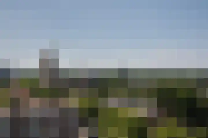 Hengelolaan 1164 Den Haag thumbnail 29