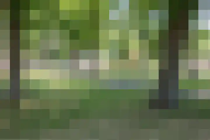 Hengelolaan 1164 Den Haag thumbnail 5