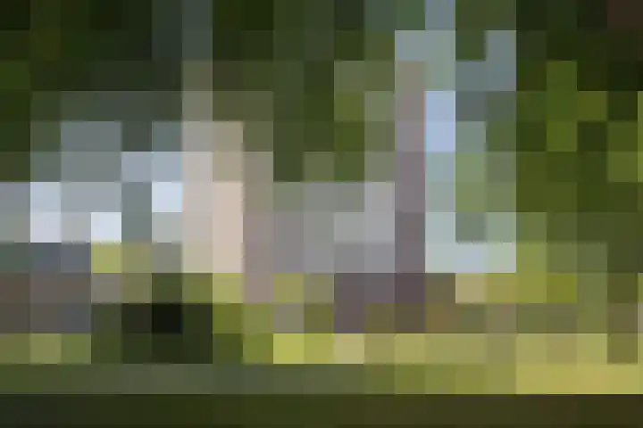 Hengelolaan 1164 Den Haag thumbnail 6