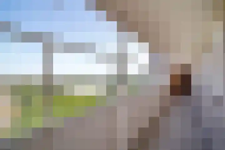 Hengelolaan 1164 Den Haag thumbnail 7