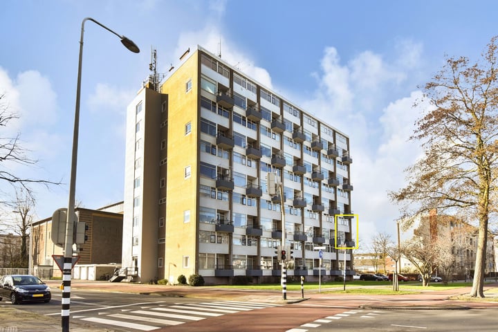 Hengelolaan 3F en 's-Gravenhage foto