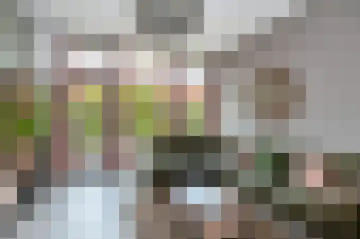 Hengelolaan 460 Den Haag thumbnail 13