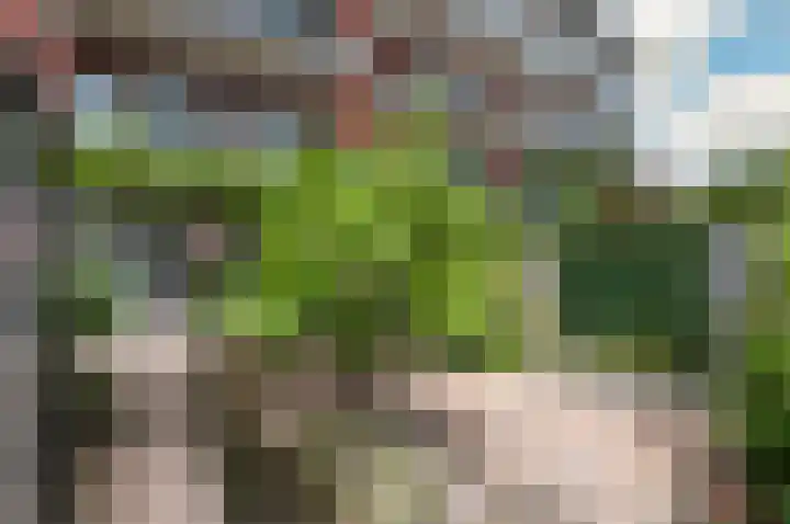 Hengelolaan 460 Den Haag thumbnail 18
