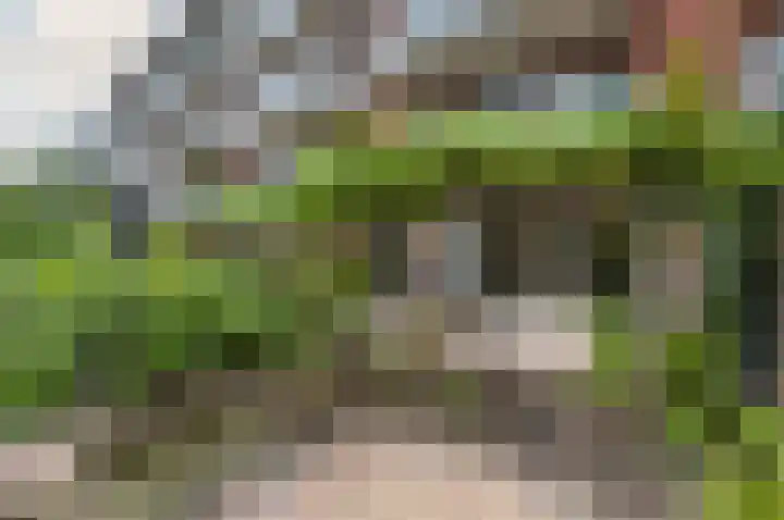 Hengelolaan 460 Den Haag thumbnail 19