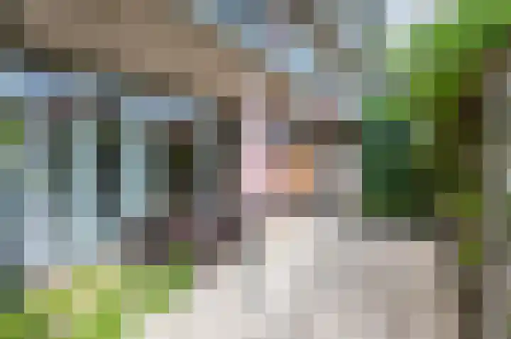 Hengelolaan 460 Den Haag thumbnail 20