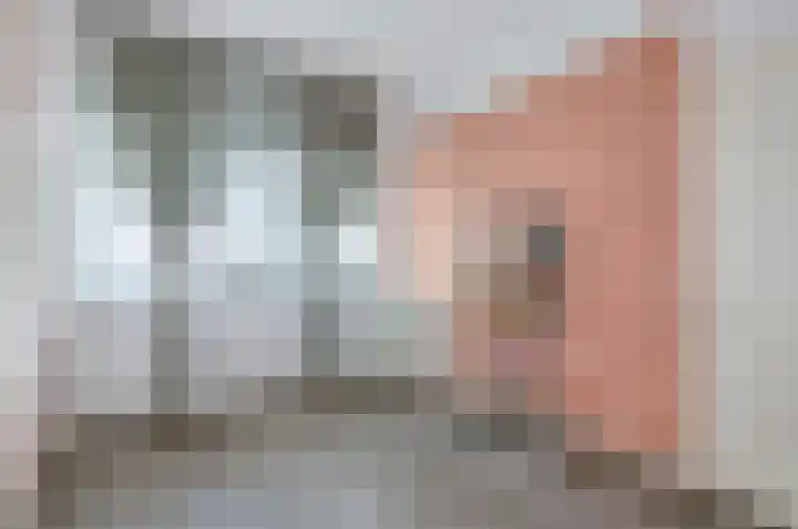 Hengelolaan 460 Den Haag thumbnail 37