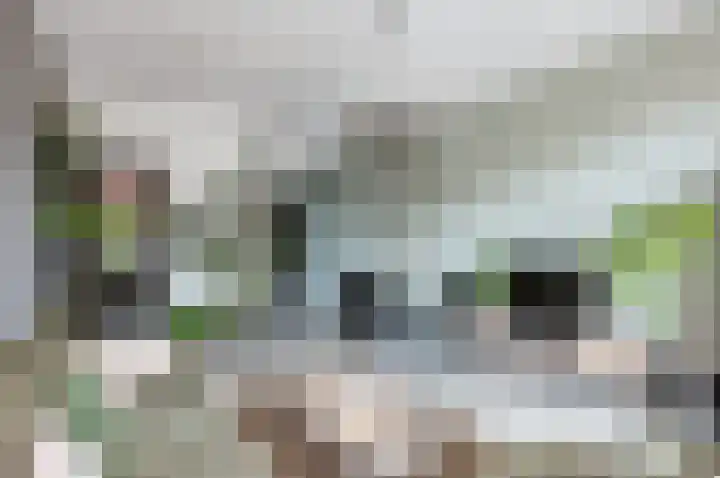 Hengelolaan 460 Den Haag thumbnail 5