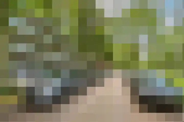 Hengelolaan 460 Den Haag thumbnail 8