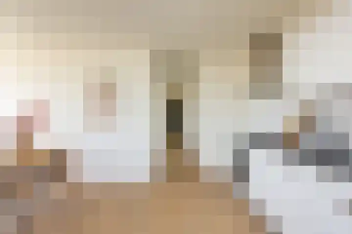 Hengelolaan 590 Den Haag thumbnail 17