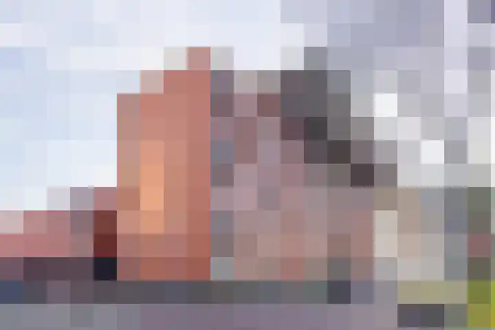 Hengelolaan 590 Den Haag thumbnail 41