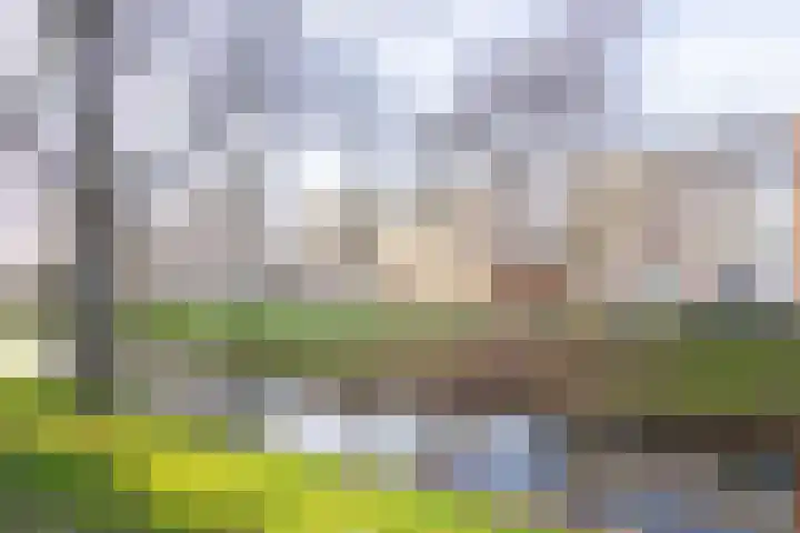 Hengelolaan 590 Den Haag thumbnail 42