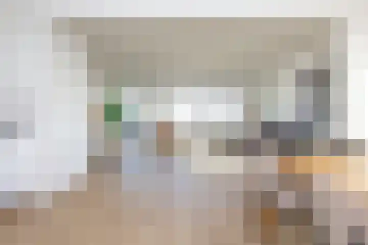 Hengelolaan 590 Den Haag thumbnail 8