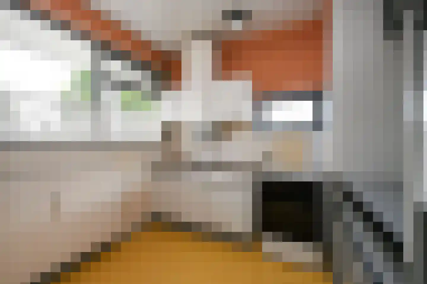 Hengelolaan 593 Den Haag thumbnail 13