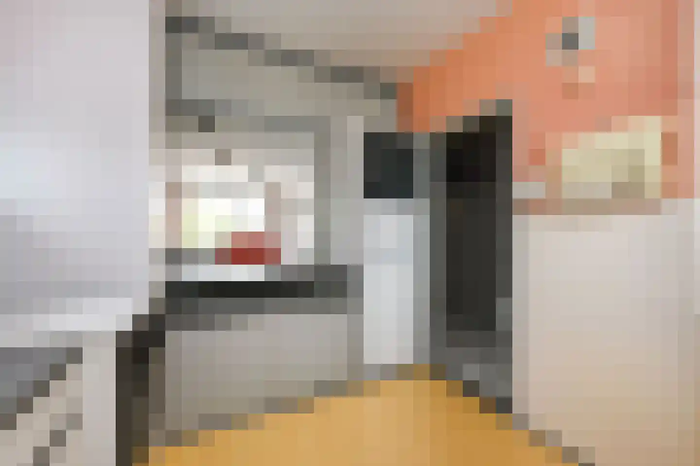Hengelolaan 593 Den Haag thumbnail 15