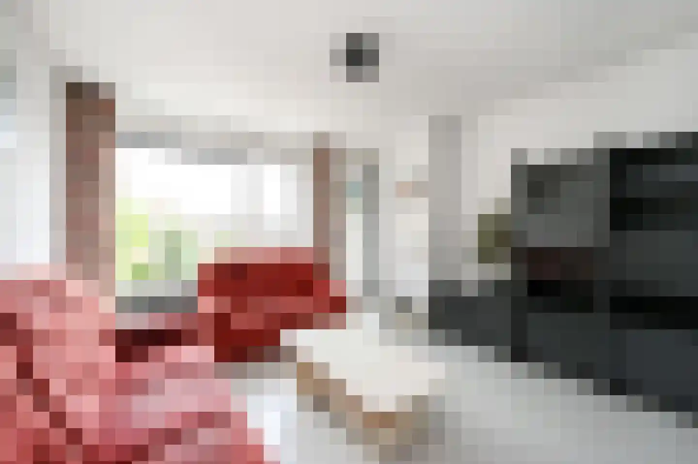 Hengelolaan 593 Den Haag thumbnail 18