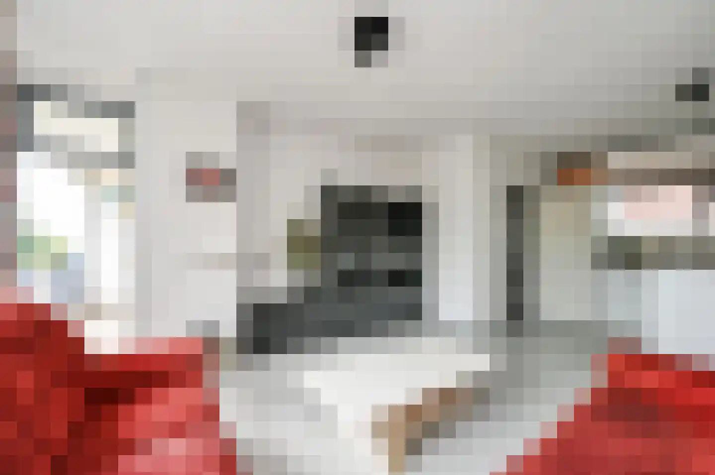 Hengelolaan 593 Den Haag thumbnail 21