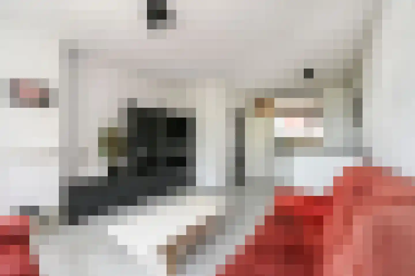 Hengelolaan 593 Den Haag thumbnail 22