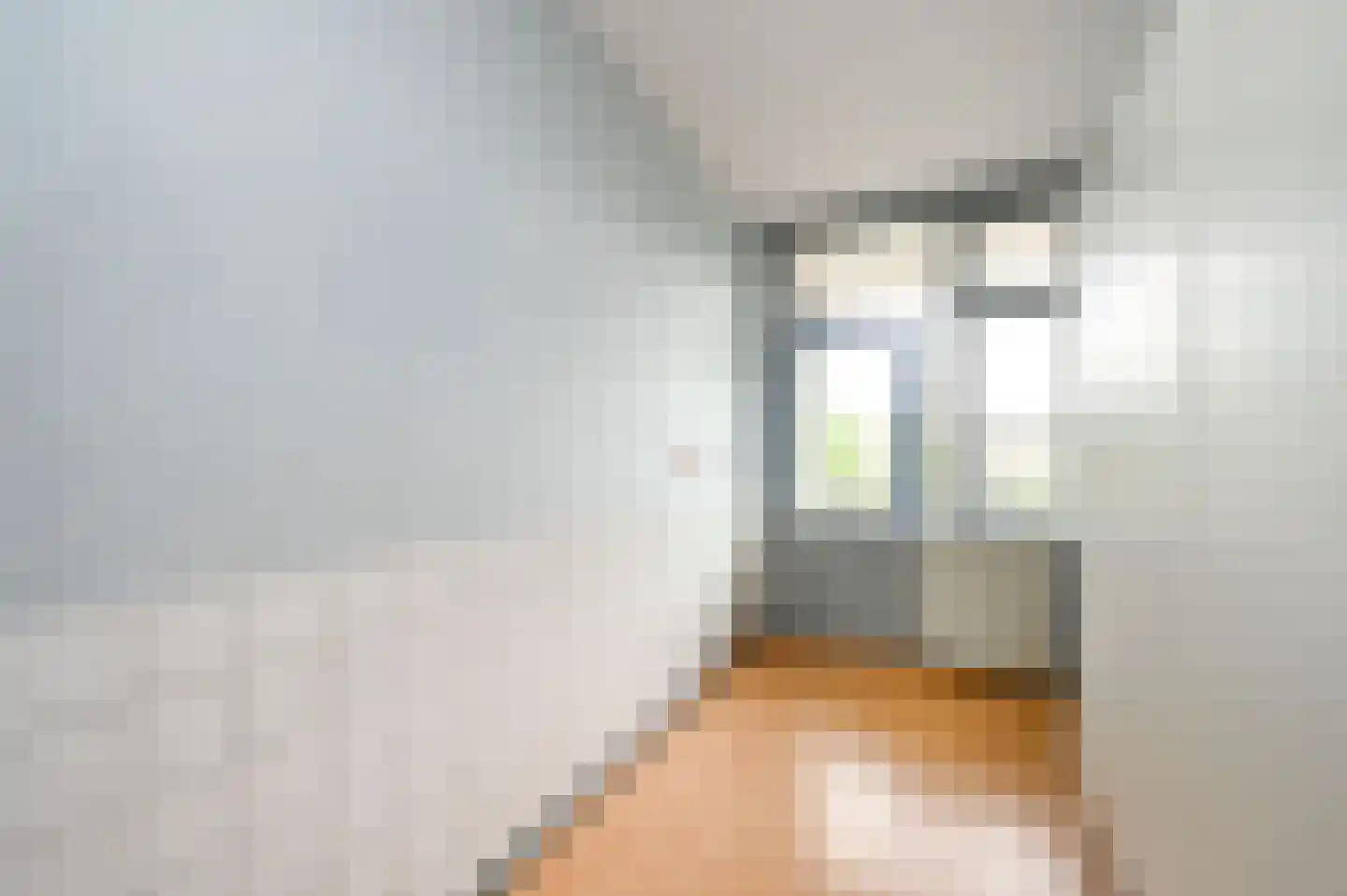 Hengelolaan 593 Den Haag thumbnail 33