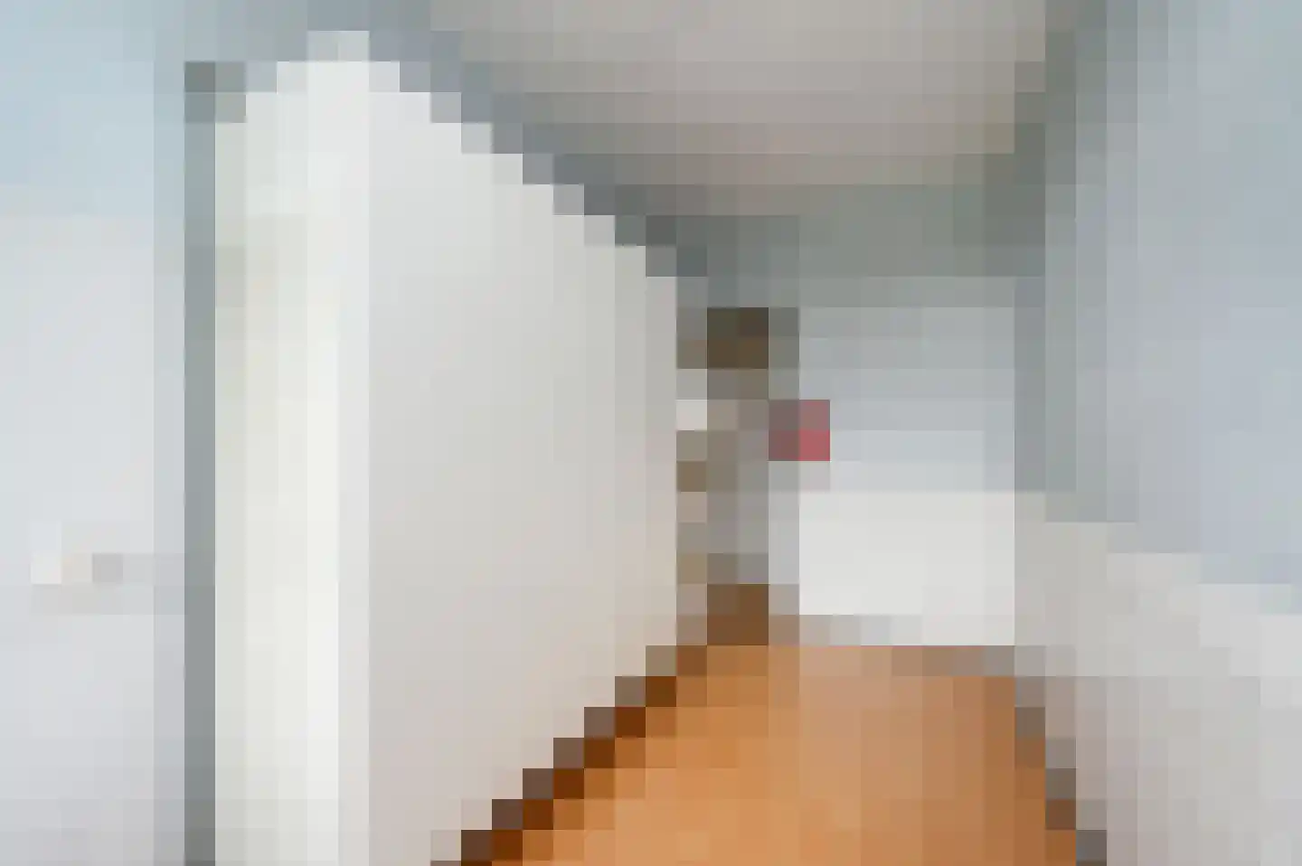 Hengelolaan 593 Den Haag thumbnail 34