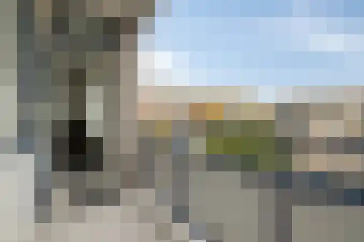 Hengelolaan 603 Den Haag thumbnail 13