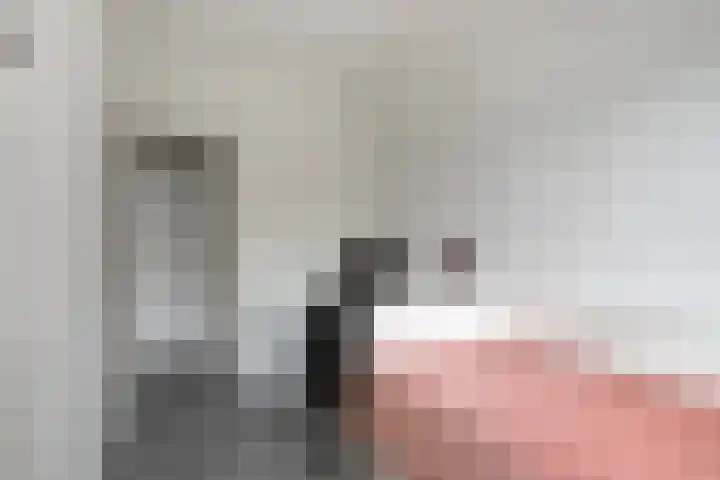 Hengelolaan 603 Den Haag thumbnail 15