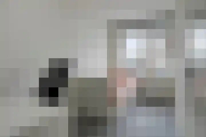 Hengelolaan 603 Den Haag thumbnail 16