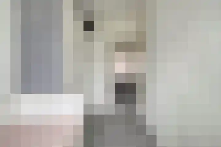 Hengelolaan 603 Den Haag thumbnail 17
