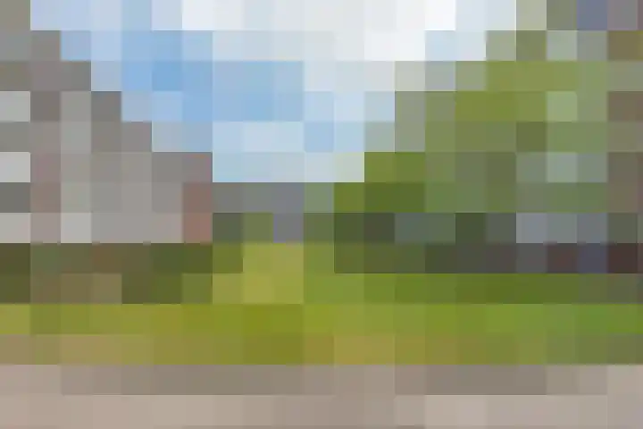Hengelolaan 603 Den Haag thumbnail 22