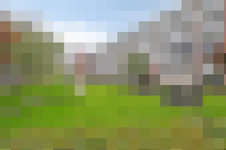 Hengelolaan 603 Den Haag thumbnail 23