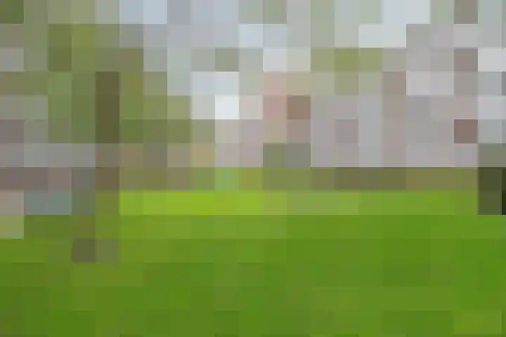Hengelolaan 603 Den Haag thumbnail 24