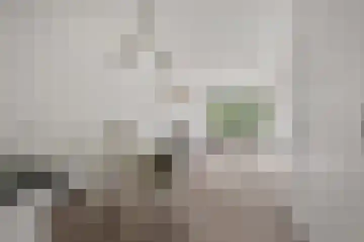 Hengelolaan 681 Den Haag thumbnail 10