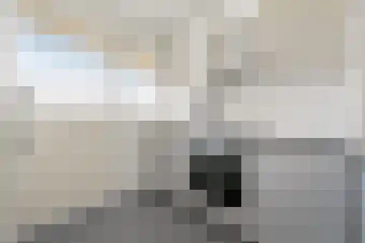 Hengelolaan 681 Den Haag thumbnail 11