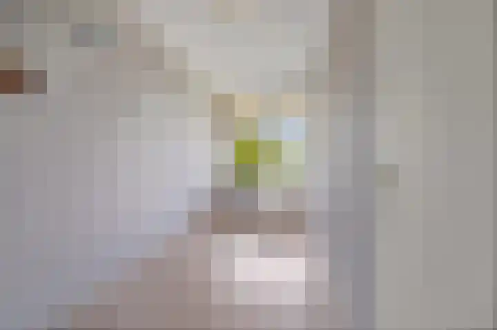 Hengelolaan 681 Den Haag thumbnail 17